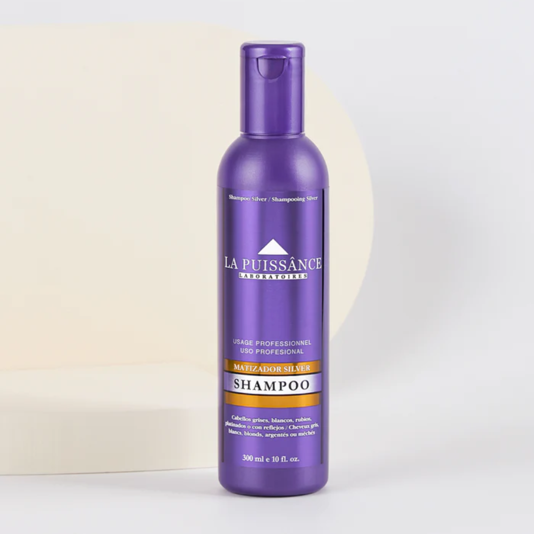 IMAGENES-WEB-9 Shampoo Matizador Silver x 300 ml - Imagen 1